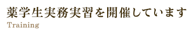 薬学生実務実習を開催しています